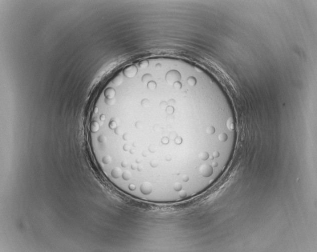 X0000116020978200911200935