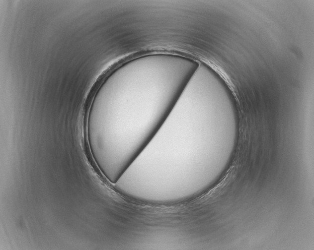 X0000116020984200911200935