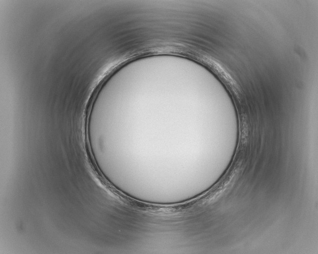 X0000116020986200911200935