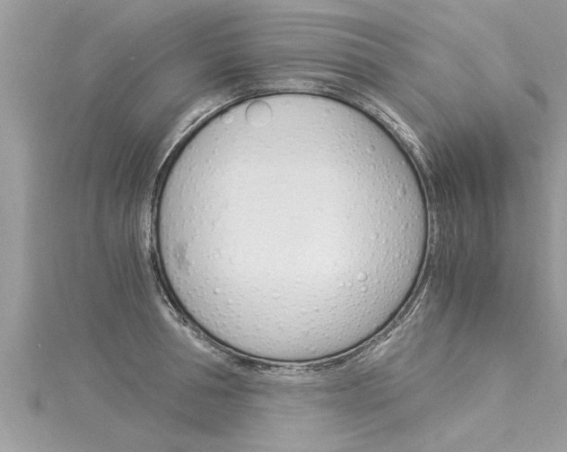 X0000116020994200911200935