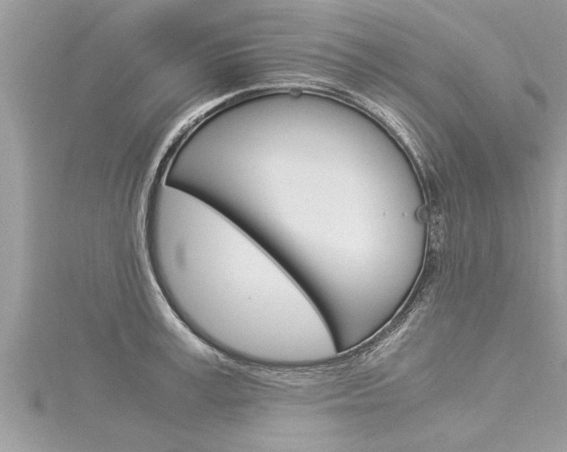 X0000116020995200911200935
