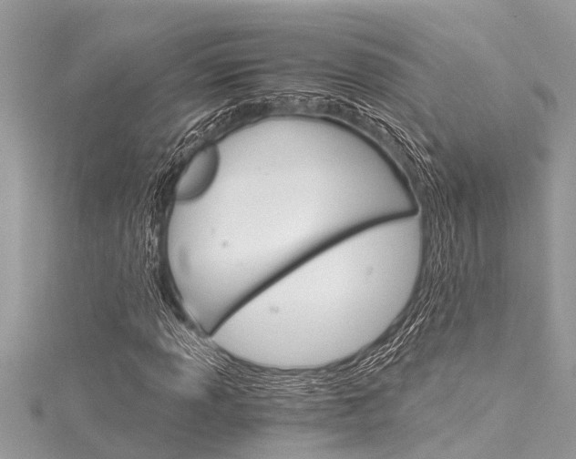 X0000116021013200911200934