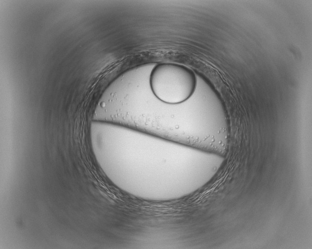 X0000116021014200911200934