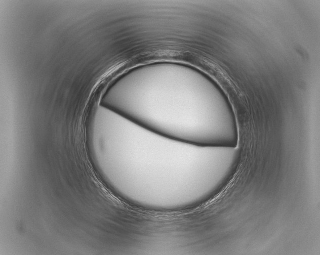 X0000116021018200911200934