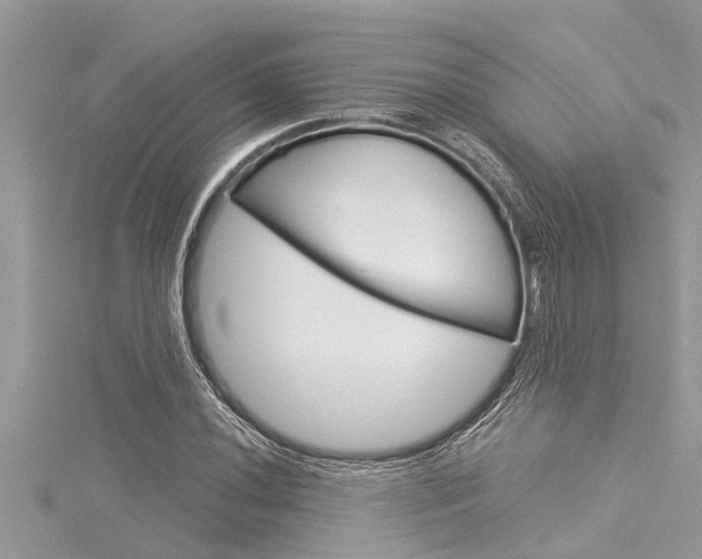 X0000116021020200911200934