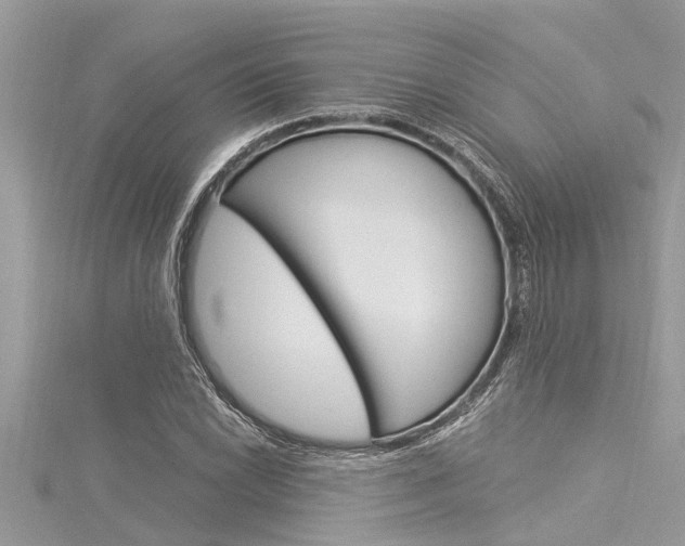 X0000116021022200911200934