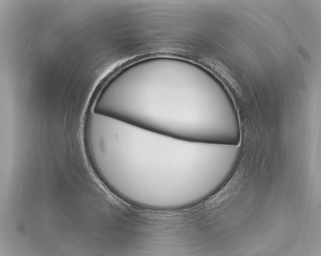 X0000116021024200911200934