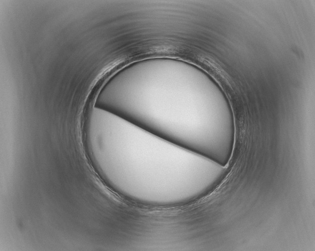 X0000116021026200911200934