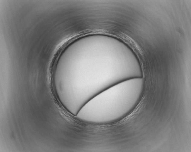 X0000116021027200911200934