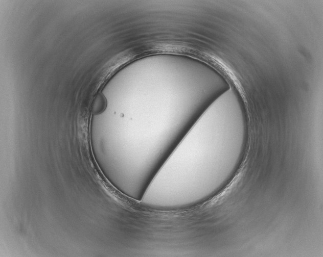 X0000116021041200911200935