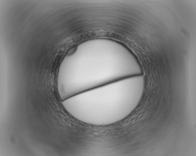 X0000116021062200911200934