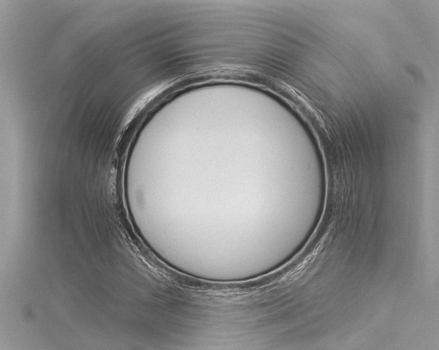 X0000116021066200911200934