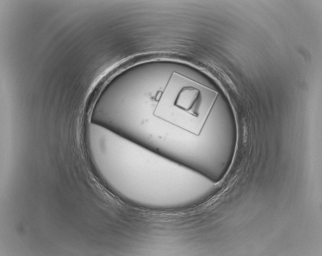X0000116021069200911200934