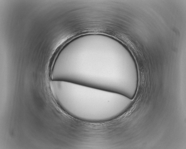 X0000116021071200911200934