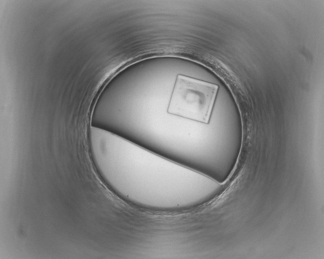 X0000116021081200911200934