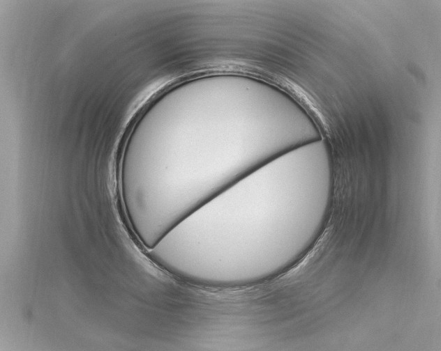 X0000116021082200911200934