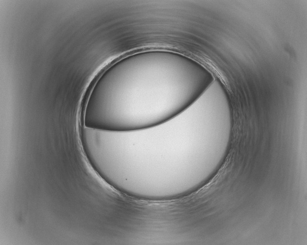 X0000116021084200911200934