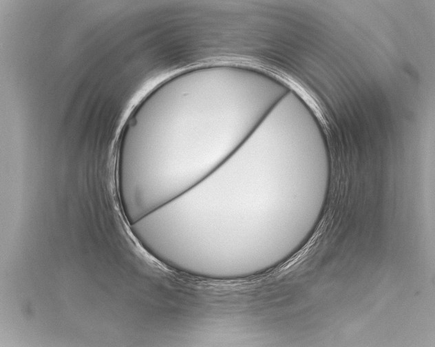 X0000116021102200911200934