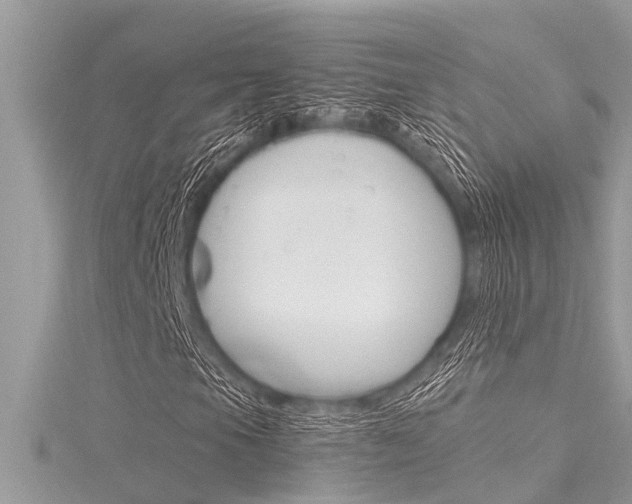 X0000116021105200911200933