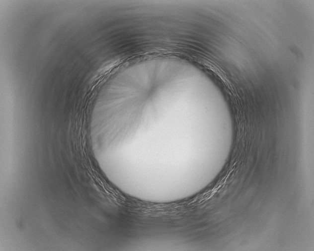 X0000116021111200911200933