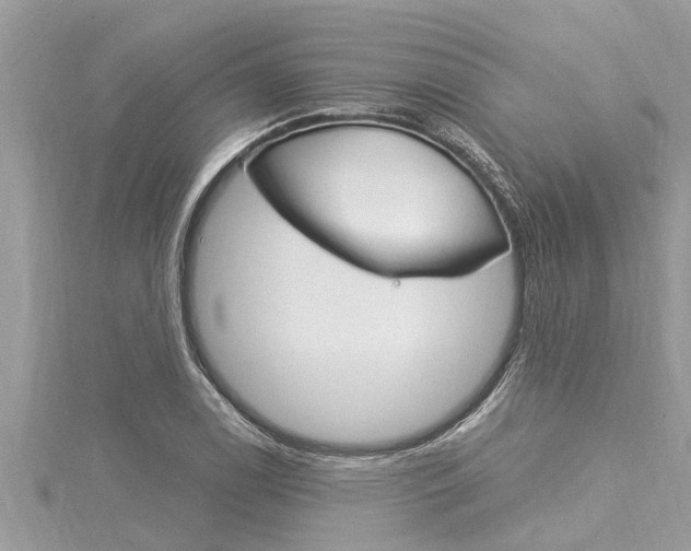 X0000116021122200911200933