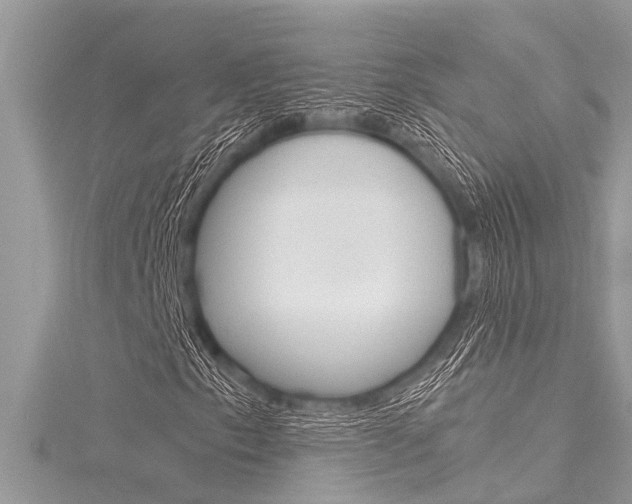 X0000116021153200911200933