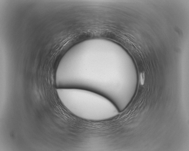 X0000116021155200911200933