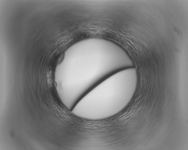 X0000116021156200911200933