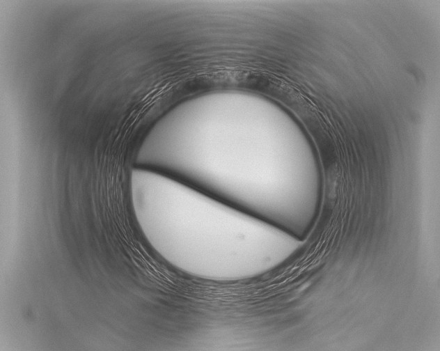 X0000116021202200911200932