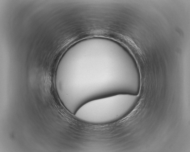 X0000116021209200911200932