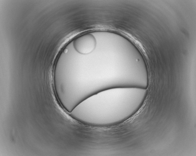 X0000116021239200911200932