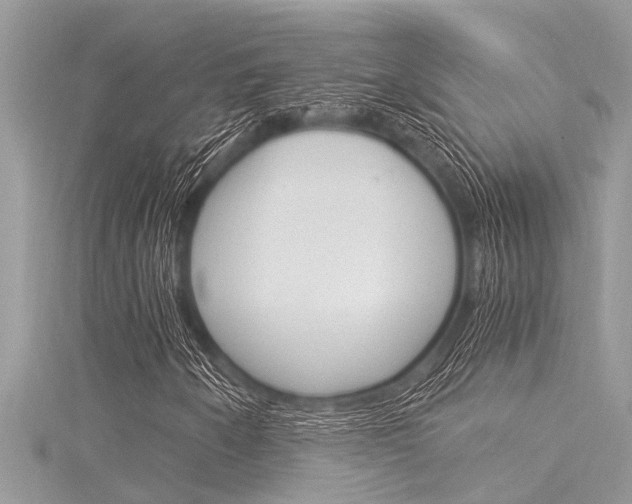 X0000116021250200911200932