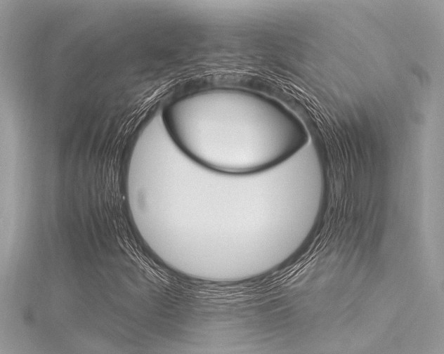 X0000116021252200911200931