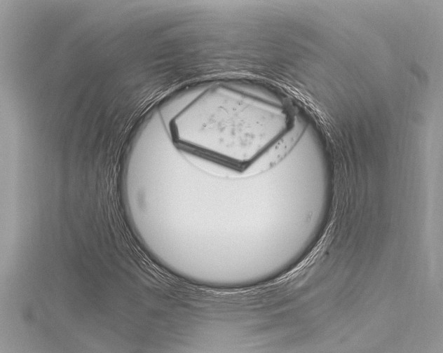 X0000116021257200911200931