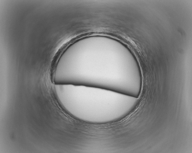 X0000116021263200911200931