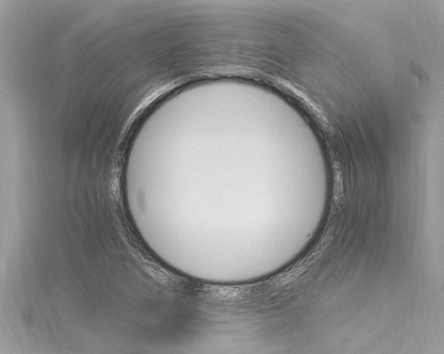 X0000116021266200911200931