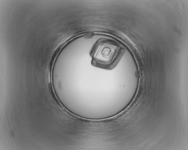 X0000116021269200911200931