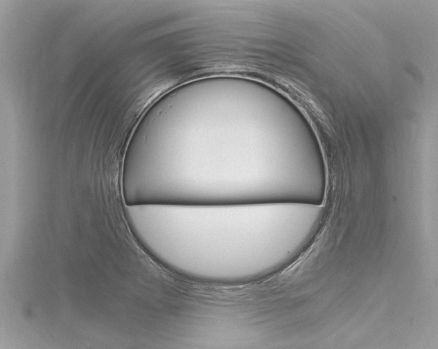 X0000116021273200911200931