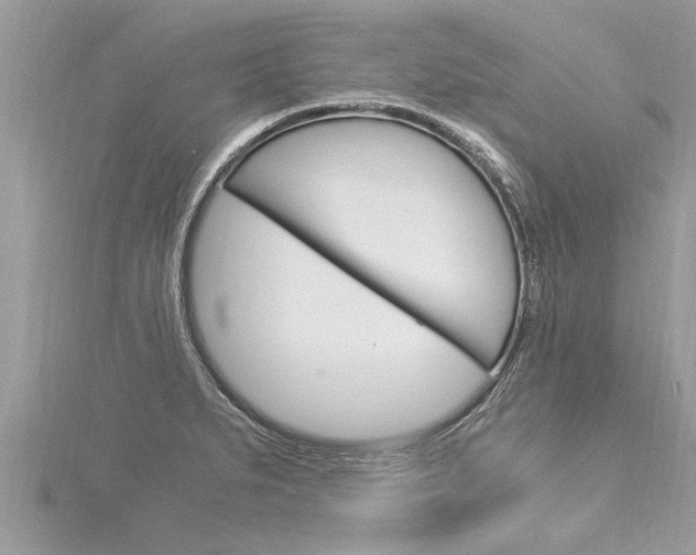 X0000116021279200911200931