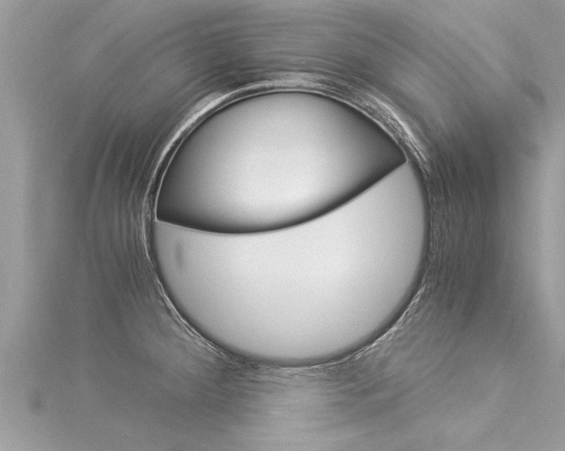 X0000116021284200911200931