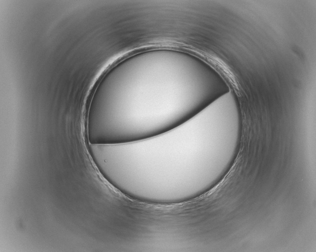 X0000116021288200911200931