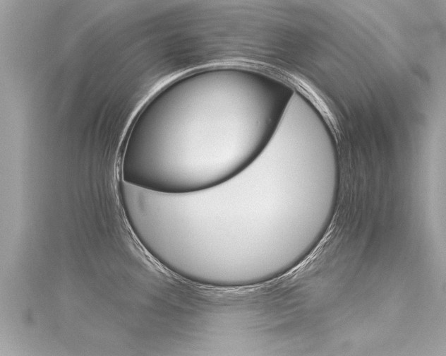 X0000116021292200911200931