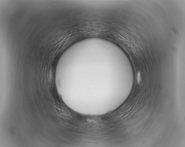 X0000116021299200911200930