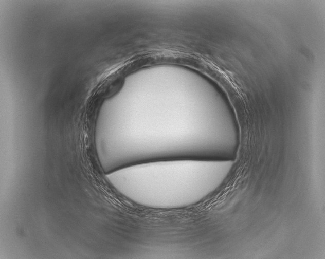 X0000116021303200911200930