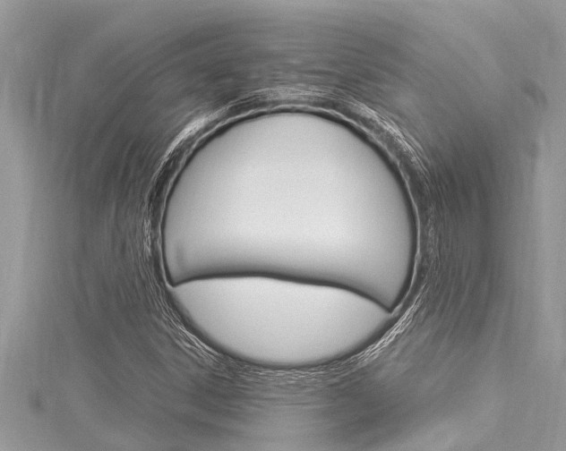 X0000116021306200911200930