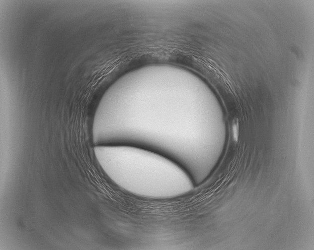 X0000116021347200911200930