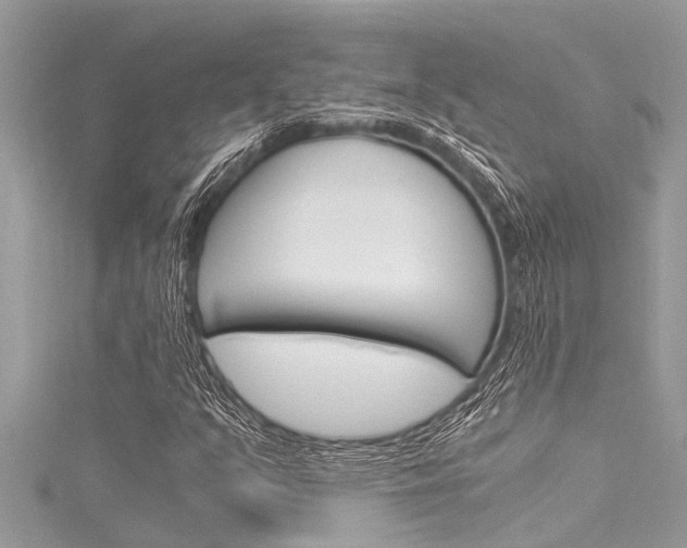 X0000116021351200911200930