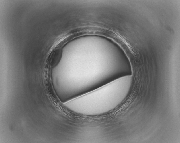 X0000116021352200911200930