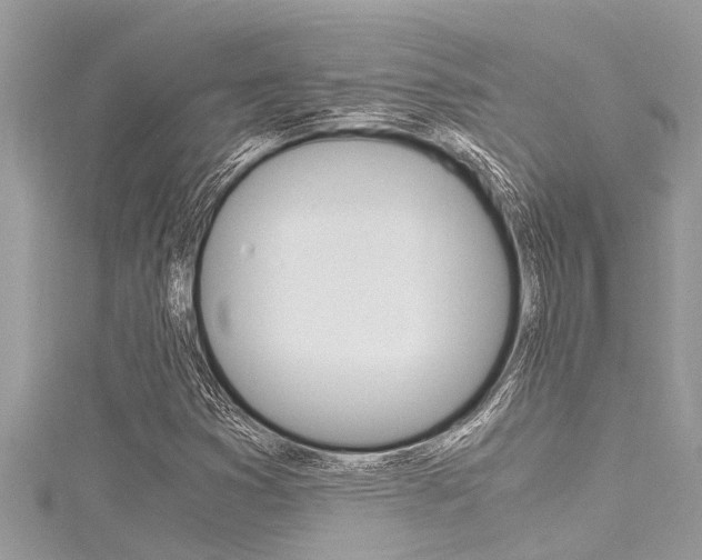 X0000116021353200911200930