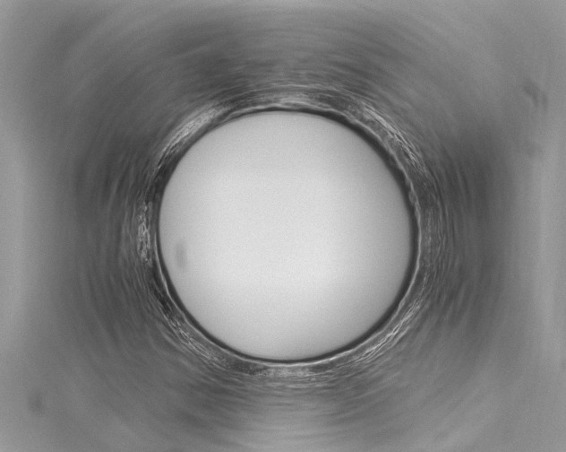 X0000116021354200911200930